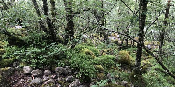 158-Preikestolen, terén okolo není o nic lepší
