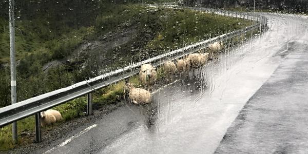 070-Vassestrand, zase prší