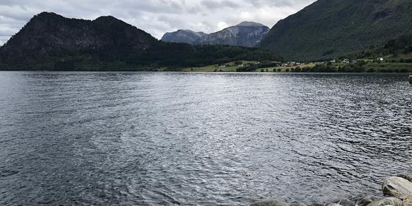 125-Voll-Mandalen