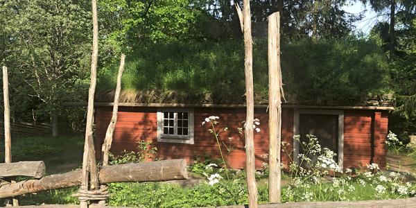008-Stockholm, dokonalé splynutí s přírodou