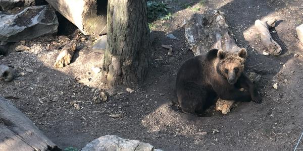 058-Stockholm, Skansen