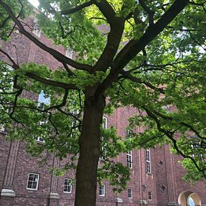 069-Stockholm, Stadhuset