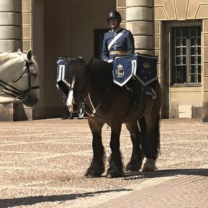 100-Stockholm, výměna stráží před Královským palácem