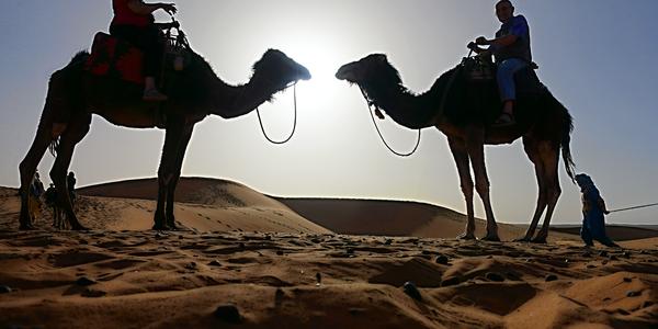 004-Erg Chebbi, velbloudi