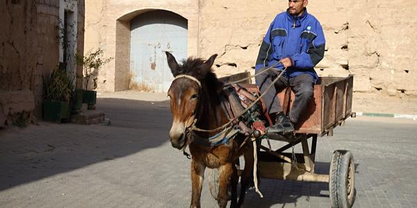 007-Tady se čas zastavil, Taroudant