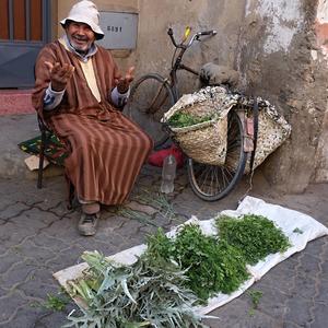 014g-Taroudant
