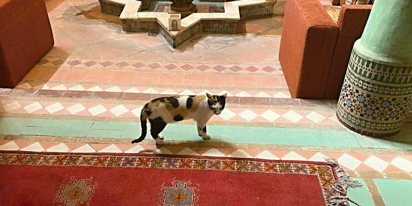 015b-Ouarzazate, kasba Tifoultoute
