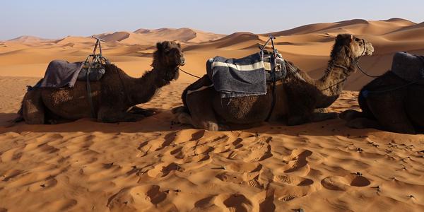 020-Erg Chebbi 2c