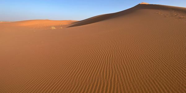 020-Erg Chebbi 2d