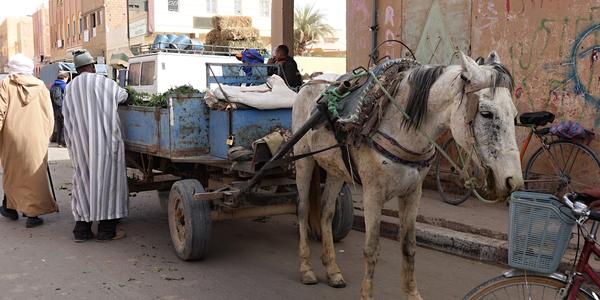 028-Merzouga, na tržišti 10