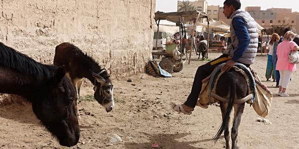 029-Merzouga, venkovní tržiště 2