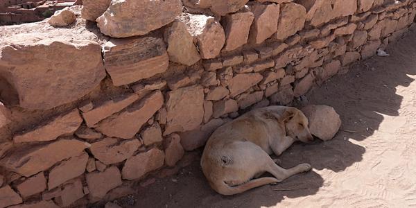 042-Ait Ben Haddou 7