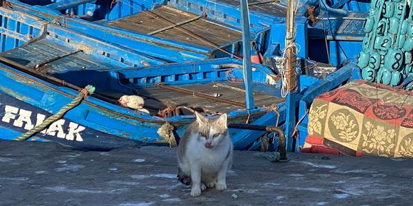 055-Essaouira, přístav 4a