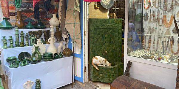 060-Essaouira, medína a její kočky 13