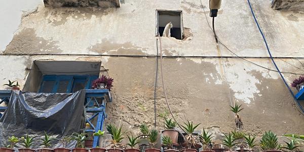 060-Essaouira, medína a její kočky 2a