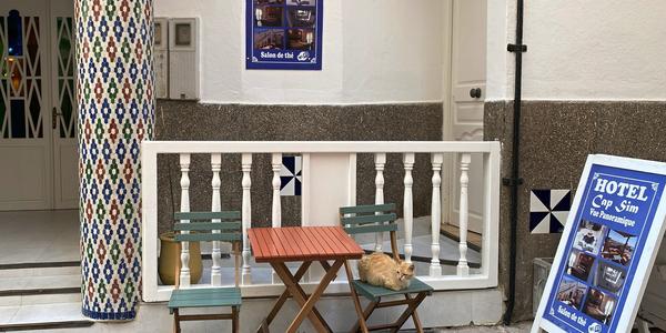 060-Essaouira, medína a její kočky 4
