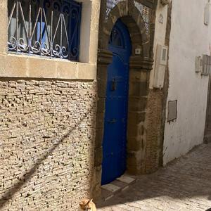 060-Essaouira, medína a její kočky 5