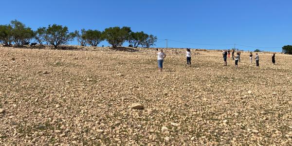 065-Cesta Essaouira-Agadir, krajina argánií s kozami 1